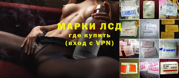 СК Алексин