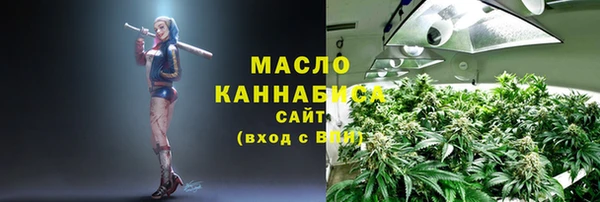 прущие грибы Алзамай