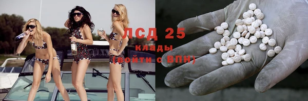 СК Алексин