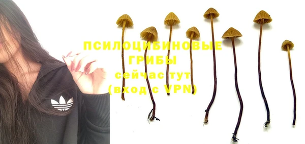mdma Сосновка