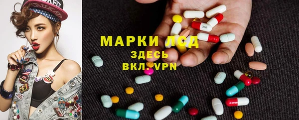 СК Алексин