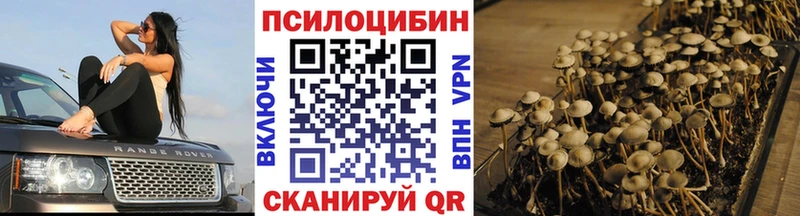 Галлюциногенные грибы Cubensis  кракен зеркало  Жиздра 