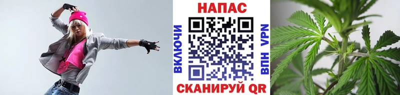 купить закладку  Жиздра  Каннабис MAZAR 
